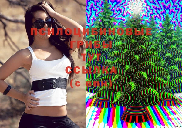 дурь Бронницы