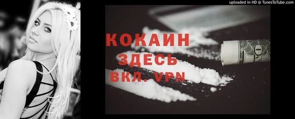 индика Волосово