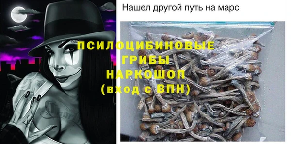 дурь Бронницы