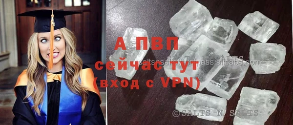 индика Волосово