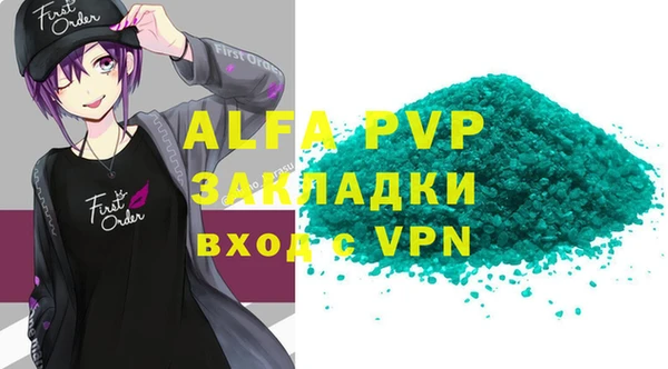индика Волосово