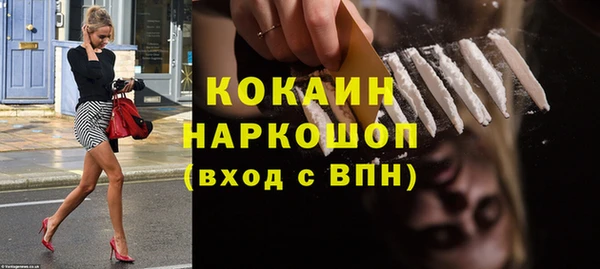 стафф Бородино