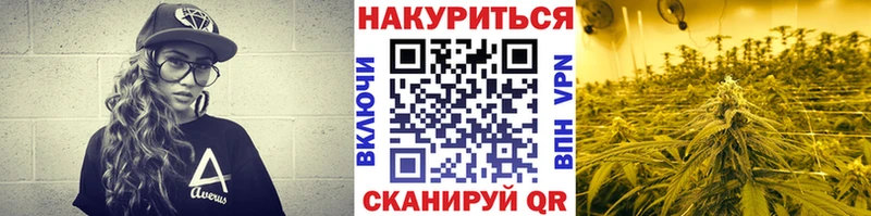 Канабис планчик  где можно купить   Дрезна 